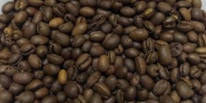 Arabica Coffee Beans