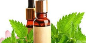 Melissa Leaf Essential Oil