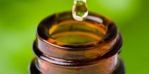 Pine Needle Essential Oil