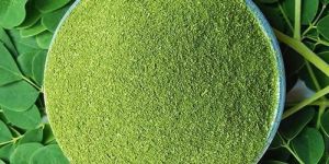 Moringa Powder