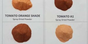 Spray Dried Tomato Powder