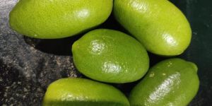 a Grade Fresh Assam Lemon