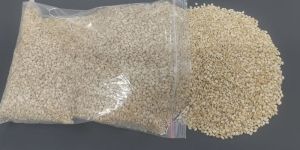 Sesame Seeds