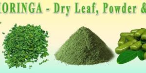 Moringa Powder