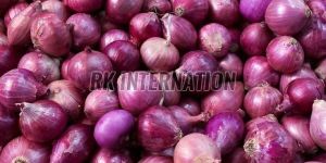 Fresh Red Onion