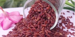 Kattuyanam Red Rice