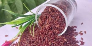 Mappillai Samba Rice