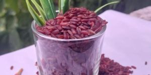 Navara Rice