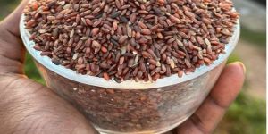 rakthashali red rice