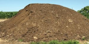 Organic Chicken Manure
