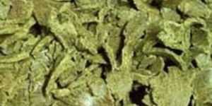 Moringa Seed Oil Cake