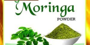 Organic Moringa Powder