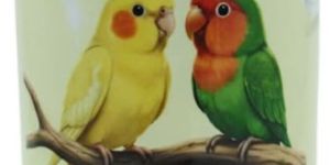 Cocktail & Love Bird Seed Mix