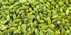 Green Cardamom