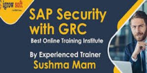 Sap GRC Online Training in Hyderabad Igrowsoft
