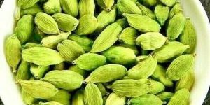 Bold Green Cardamom