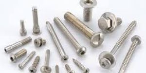 Stainless Steel Bolt Screws