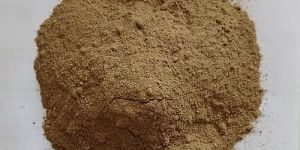 Conventional Dry Ginger Powder