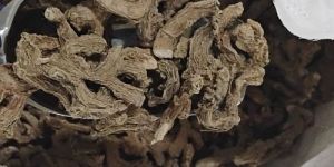 Ipm Grade Eu Standard Dry Ginger