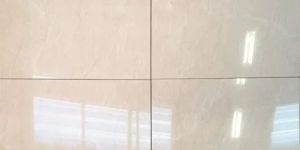 Glossy Finish Ceramic Floor Tiles
