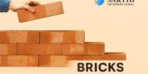 Standard Red Clay Bricks