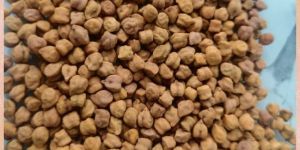 GNG-1581 Chickpea Seed