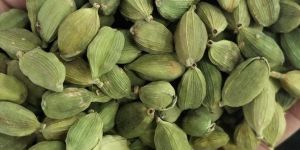 Cardamom