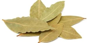 Dried Bay Leaves