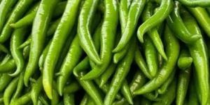 Fresh Green Chilli