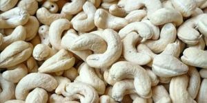 Cashew Kernel