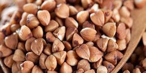 Buckwheat Millet Seeds