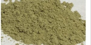 Dry Parsley Leaves Powder