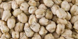 White Chickpeas