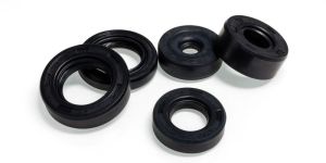 Oil Seals