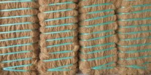 Coconut Coir