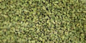 Cardamom