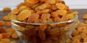 Dried Golden Raisins