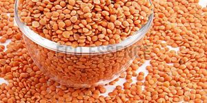 Masoor Dal