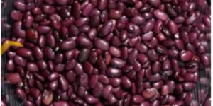 Red Kidney Beans