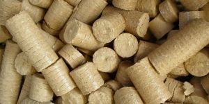 Biomass Briquettes
