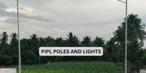 Single Arm Peacock Design Pole