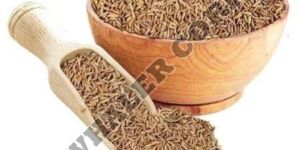 Cumin Seeds
