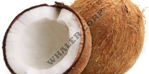 Raw Coconut