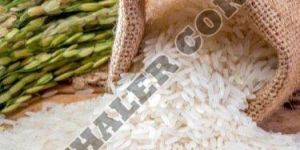 Sona Masoori Basmati Rice