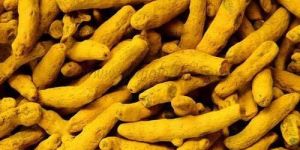 Turmeric Finger