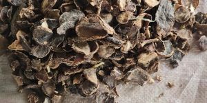 Potato Cattle Feed