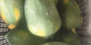 Fresh Papaya