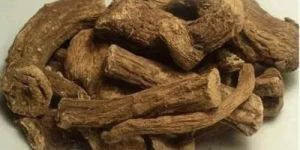 Kuth Indian Costus Root