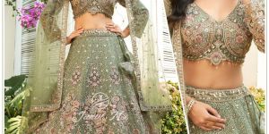 Exclusive Crafted Gorgette Net Embroidered Lehenga