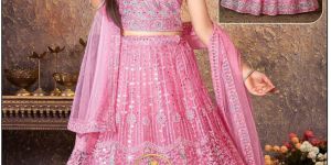 Rich Finish Gorgette Net Designer Bridal Choli